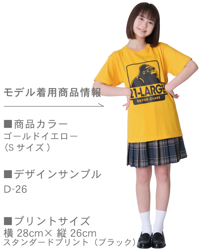 ソリッドTシャツ